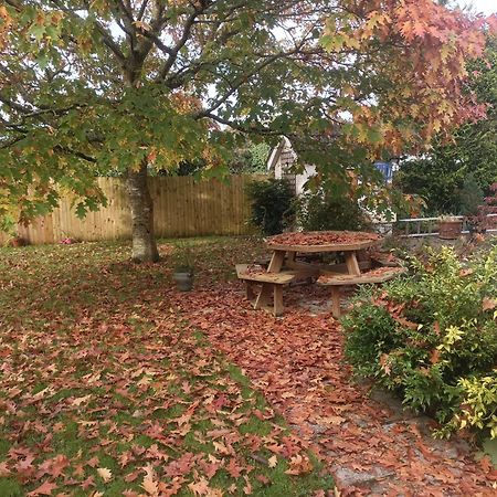 Twin Oaks Bed & Breakfast Kilkenny Dış mekan fotoğraf