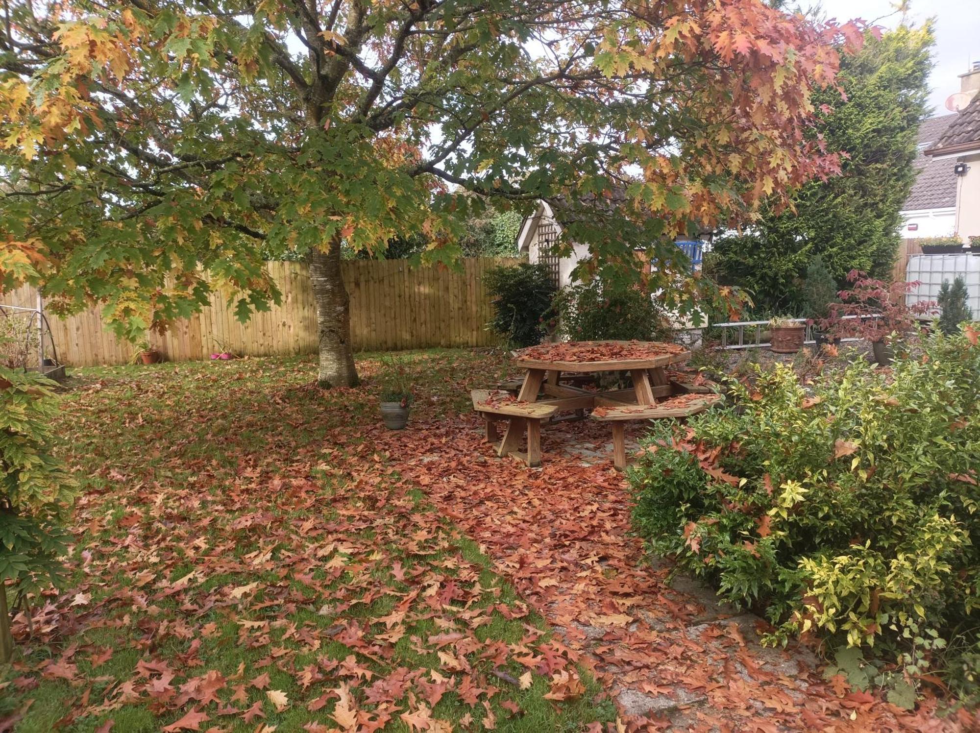 Twin Oaks Bed & Breakfast Kilkenny Dış mekan fotoğraf