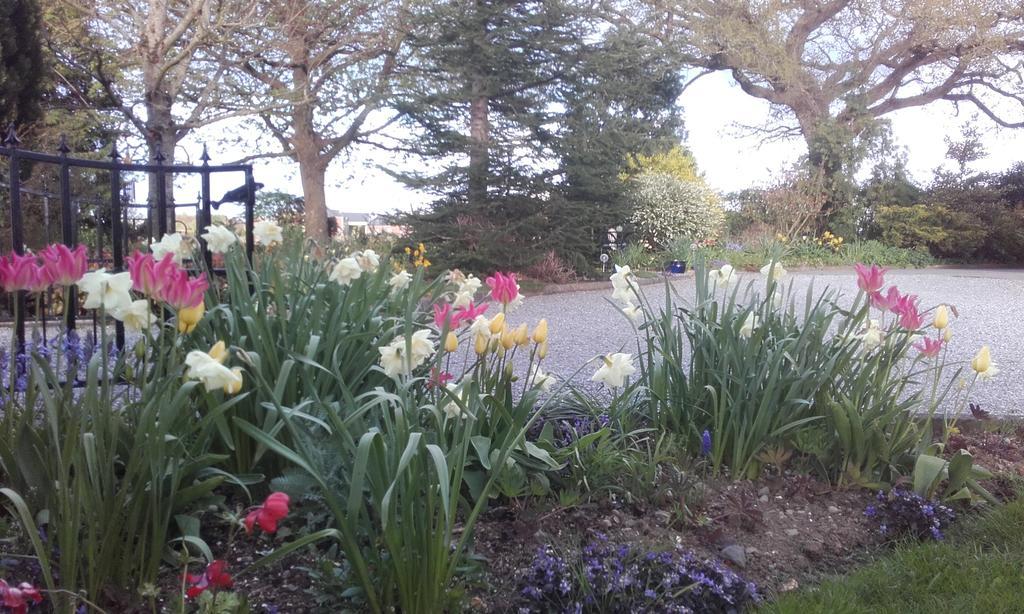 Twin Oaks Bed & Breakfast Kilkenny Dış mekan fotoğraf