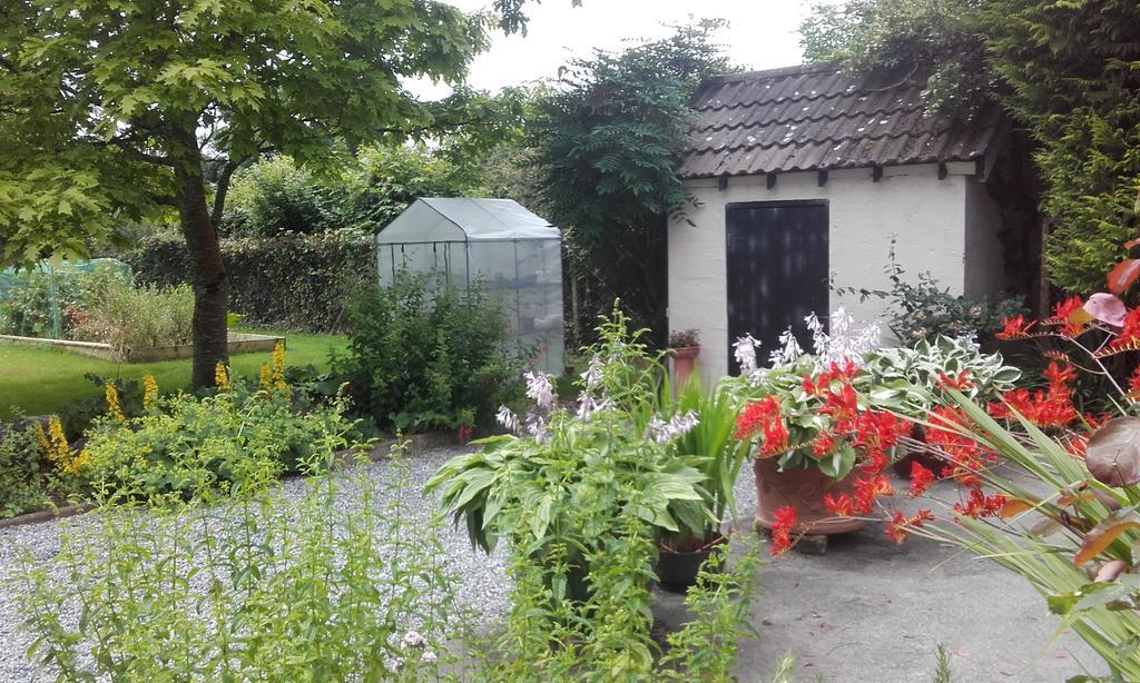 Twin Oaks Bed & Breakfast Kilkenny Dış mekan fotoğraf